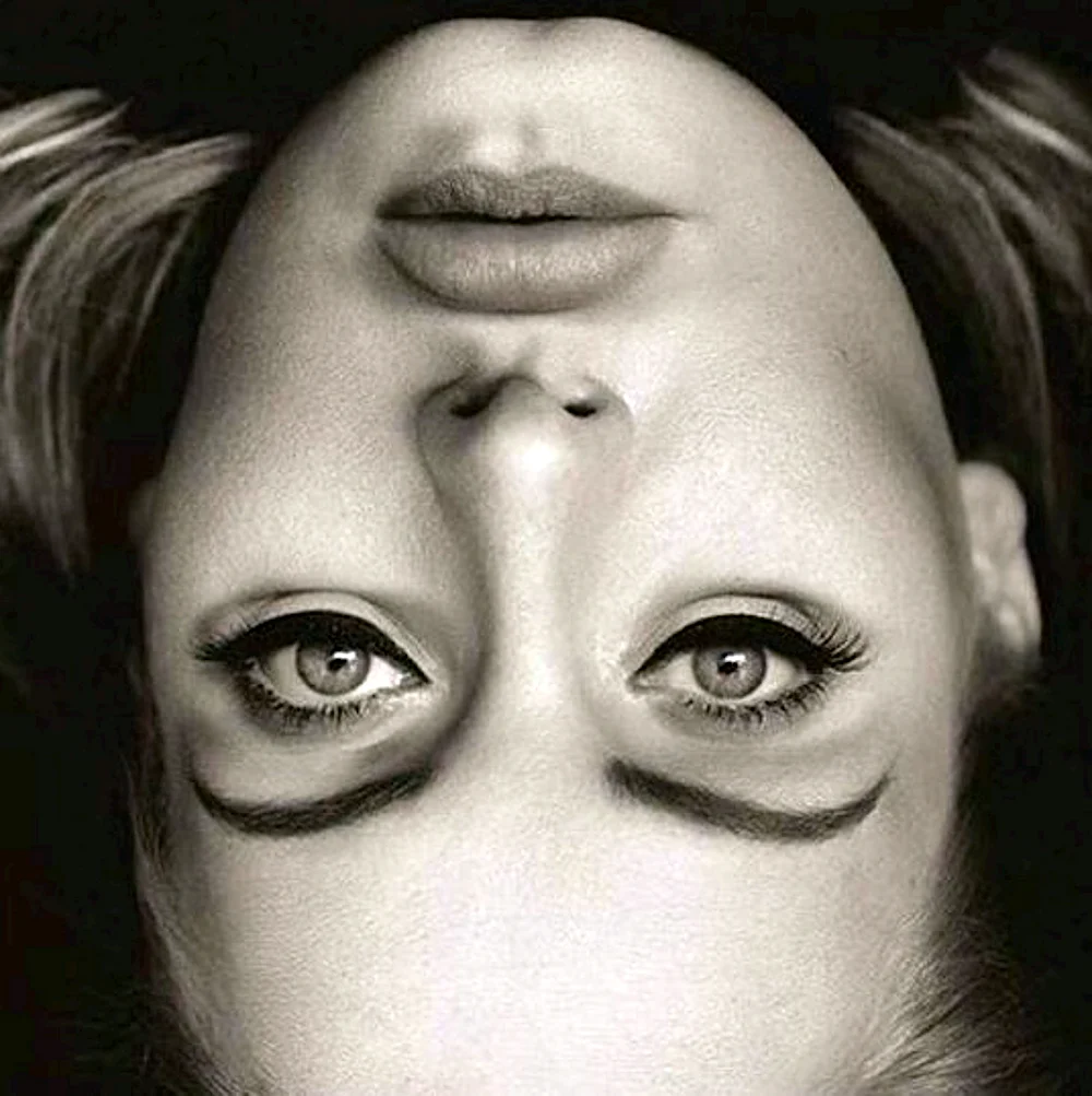 Оптические иллюзии лица