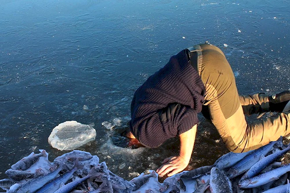 Опустил голову в воду