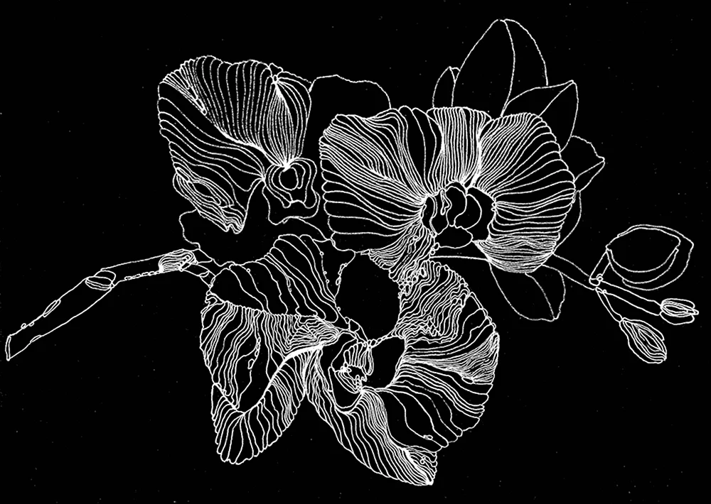 Орхидея стилизация