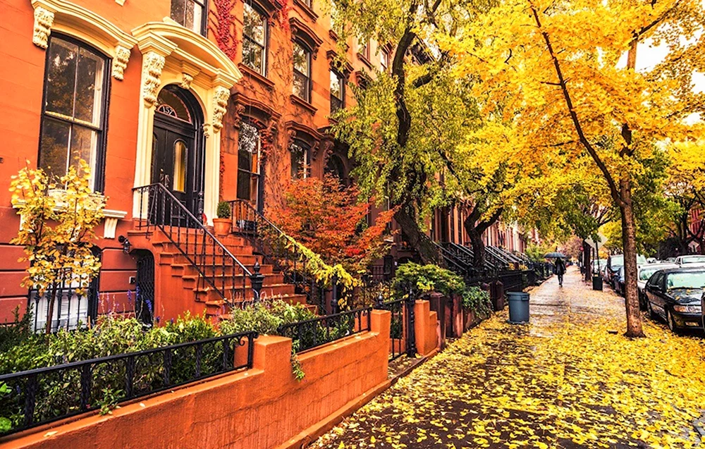 Осень Бруклин Нью Йорк