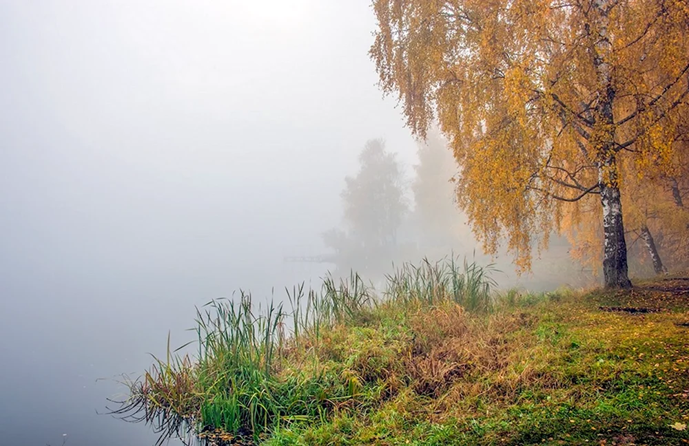 Осень река туман