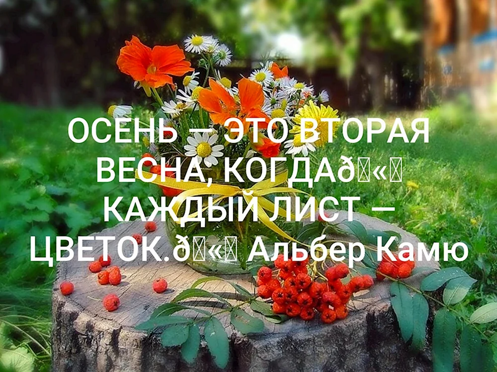 Осень цветы