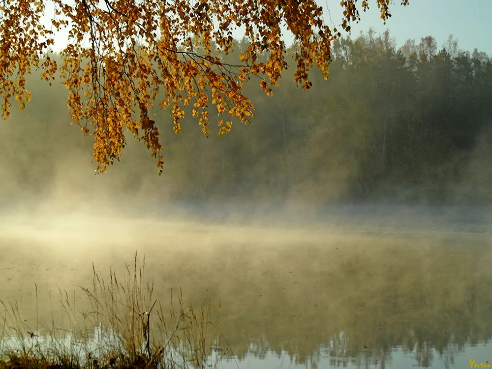 Осеннее утро