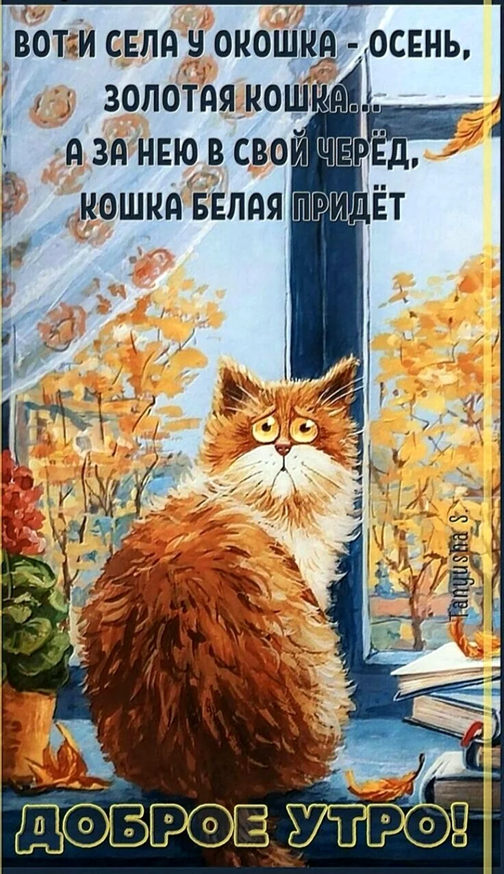Осенний рыжий кот