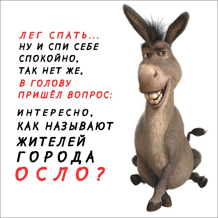 Ослик юмор