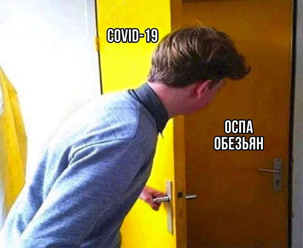 Открытка шутка про оспу обезьян