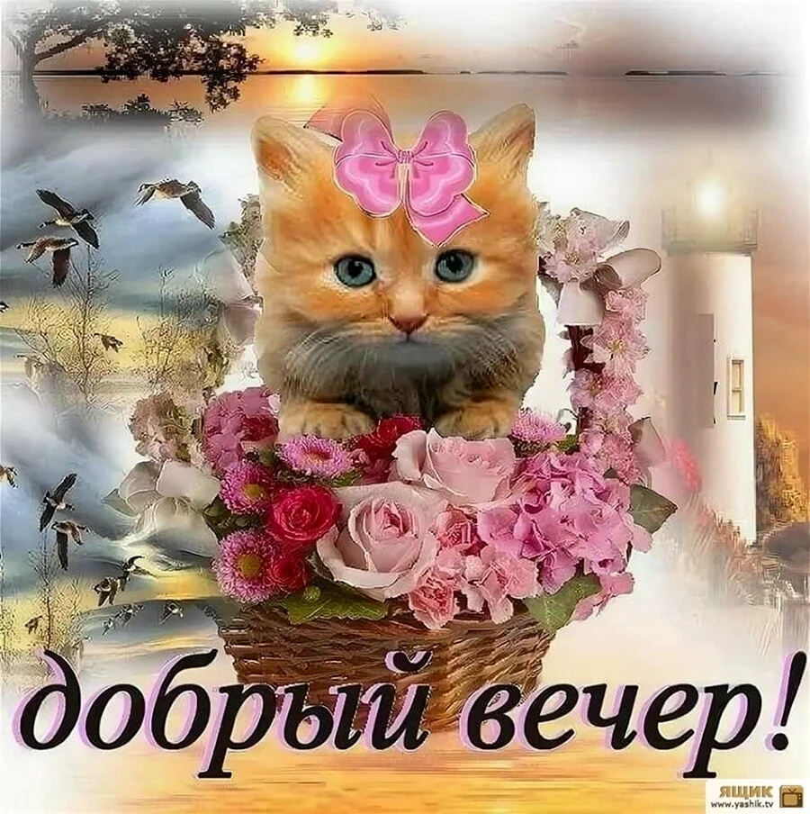 Открытки добрый вечер