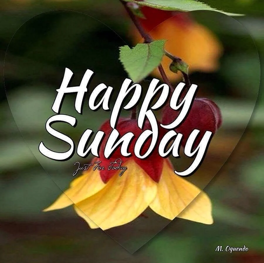 Открытки Happy Sunday