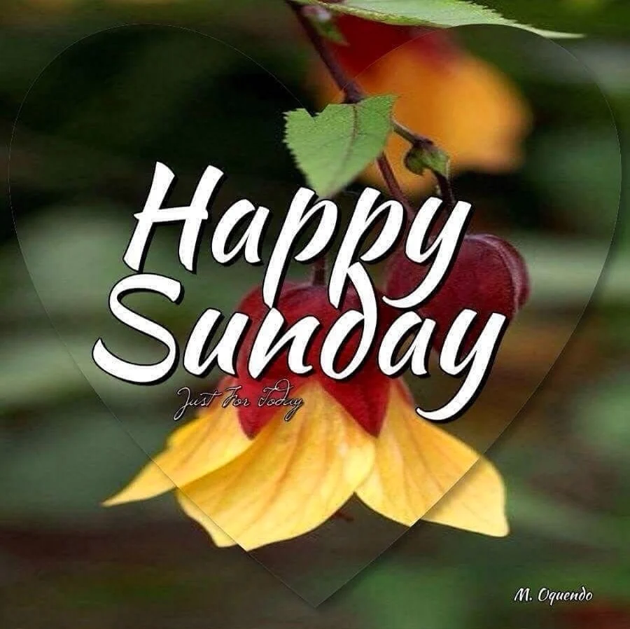 Открытки Happy Sunday