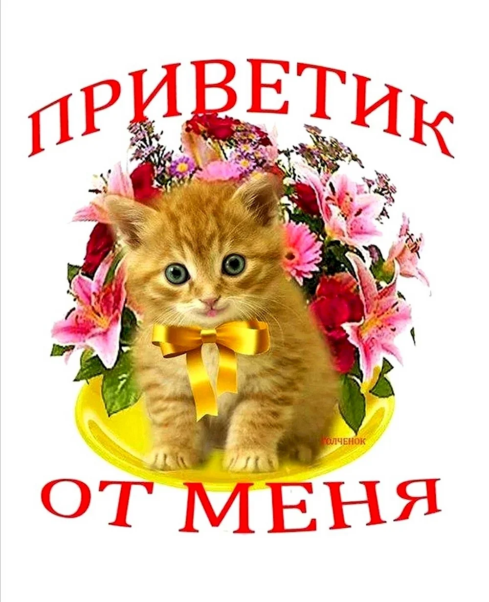 Открытки приветик