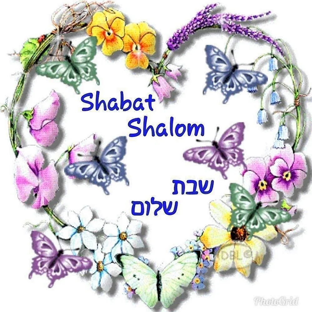 Открытки шабат Шалом на иврите