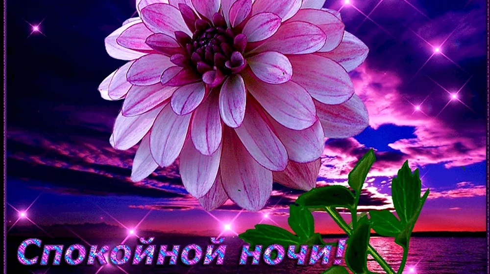 Открытки спокойной ночи