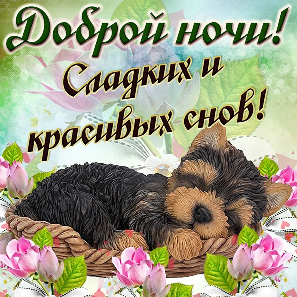 Открытки спокойной ночи