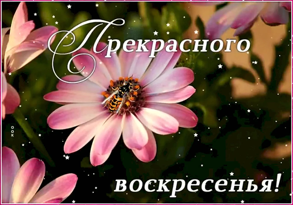 Отличного воскресенья