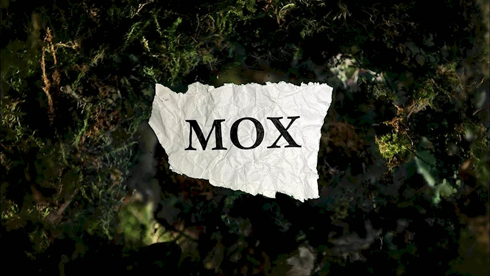 Oxxxymiron мох