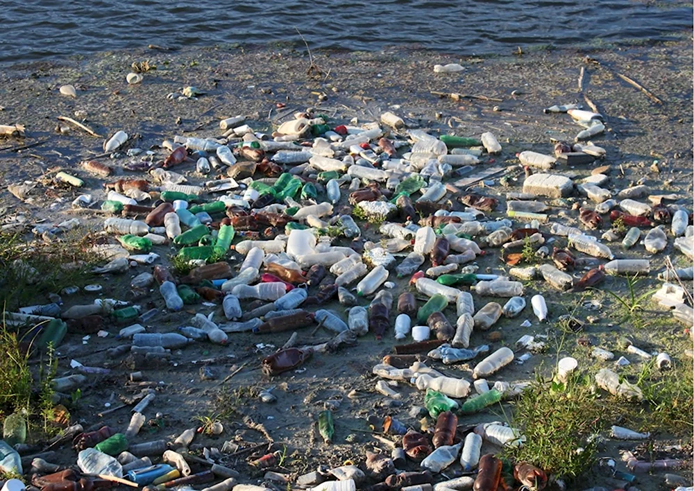 Озеро Имандра загрязнение