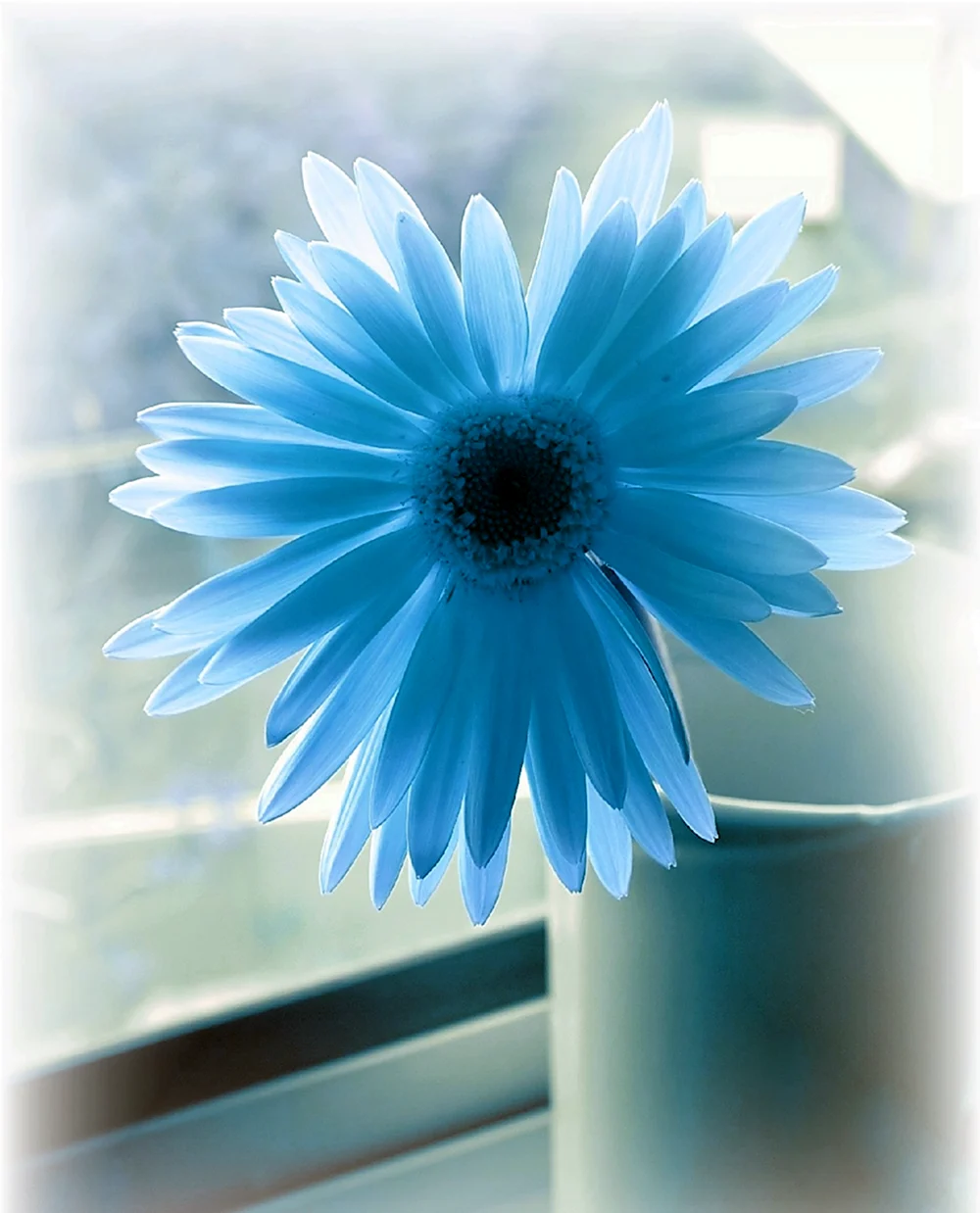 Палетка цветов синего оттенка