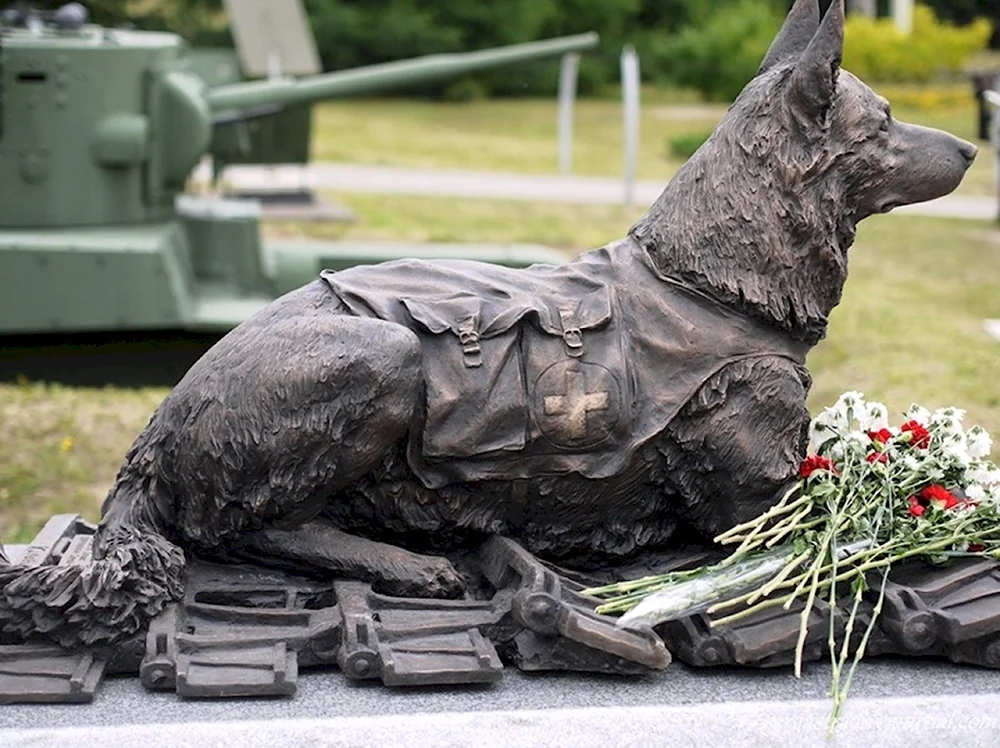 Памятник фронтовой собаке на Поклонной горе