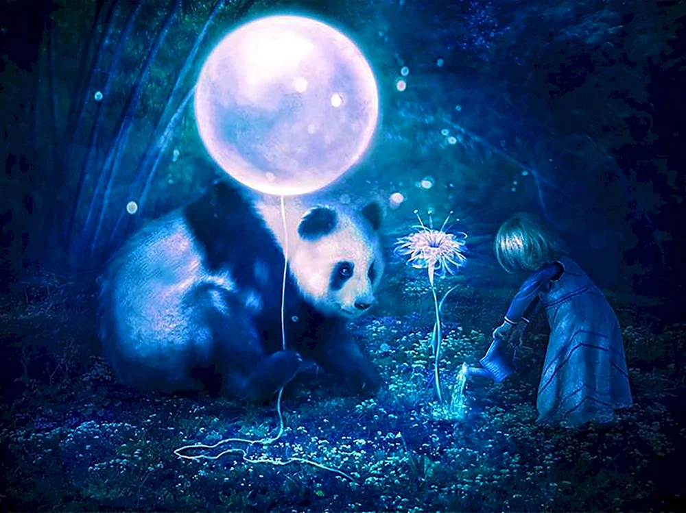 Панда на Луне
