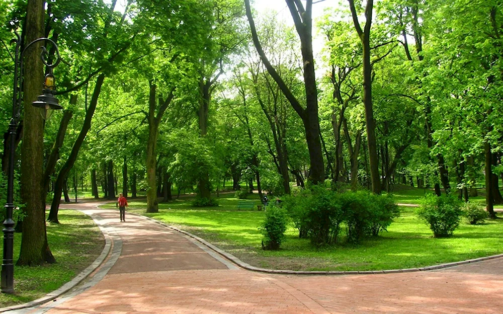 Парк имени Перекальского Курск