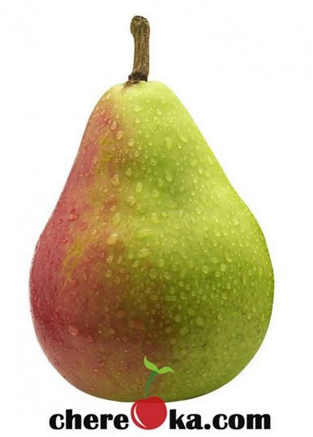 Pear Пэар - груша