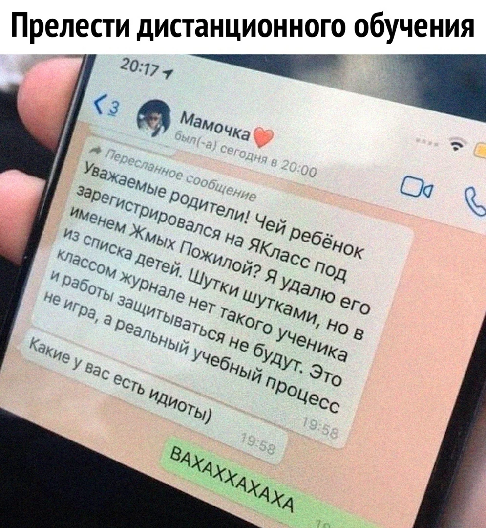 Переписки родителей в ватсапе смешные