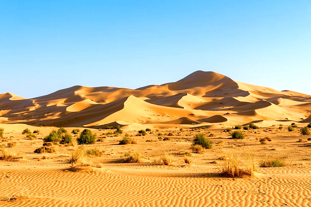 Песчаные дюны Алжир