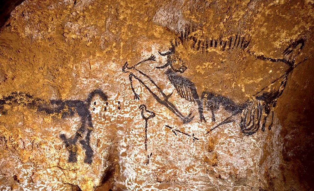 Пещера Ласко Бизон