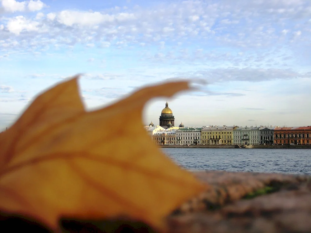 Петербург осень солнце