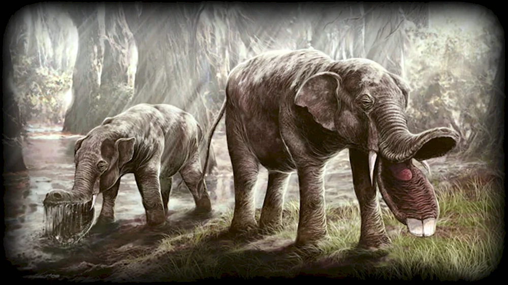Платибелодон - первобытный слон.