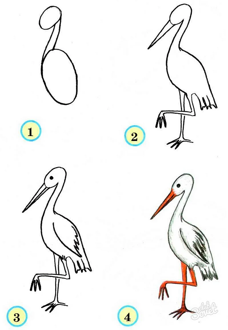 Поэтапное рисование птиц