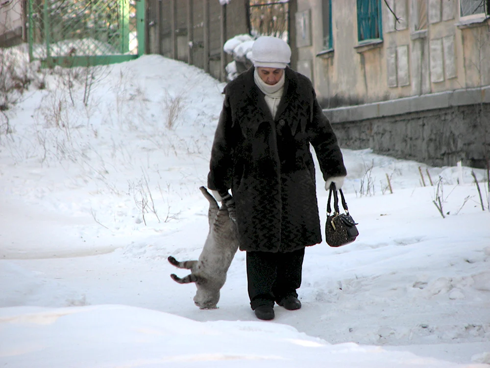 Пойдём домой Барсик на улице прохладно нынче