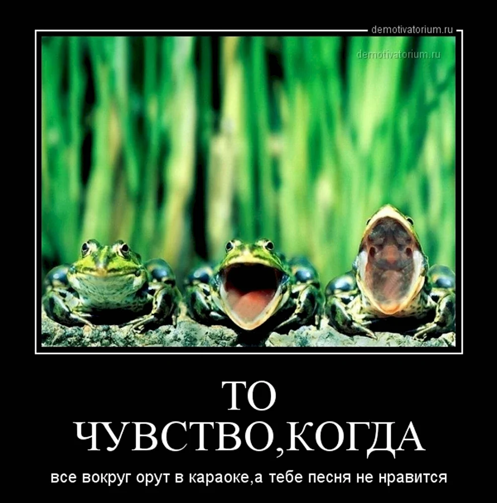 Поющая лягушка