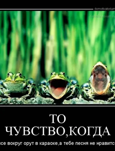 Поющая лягушка