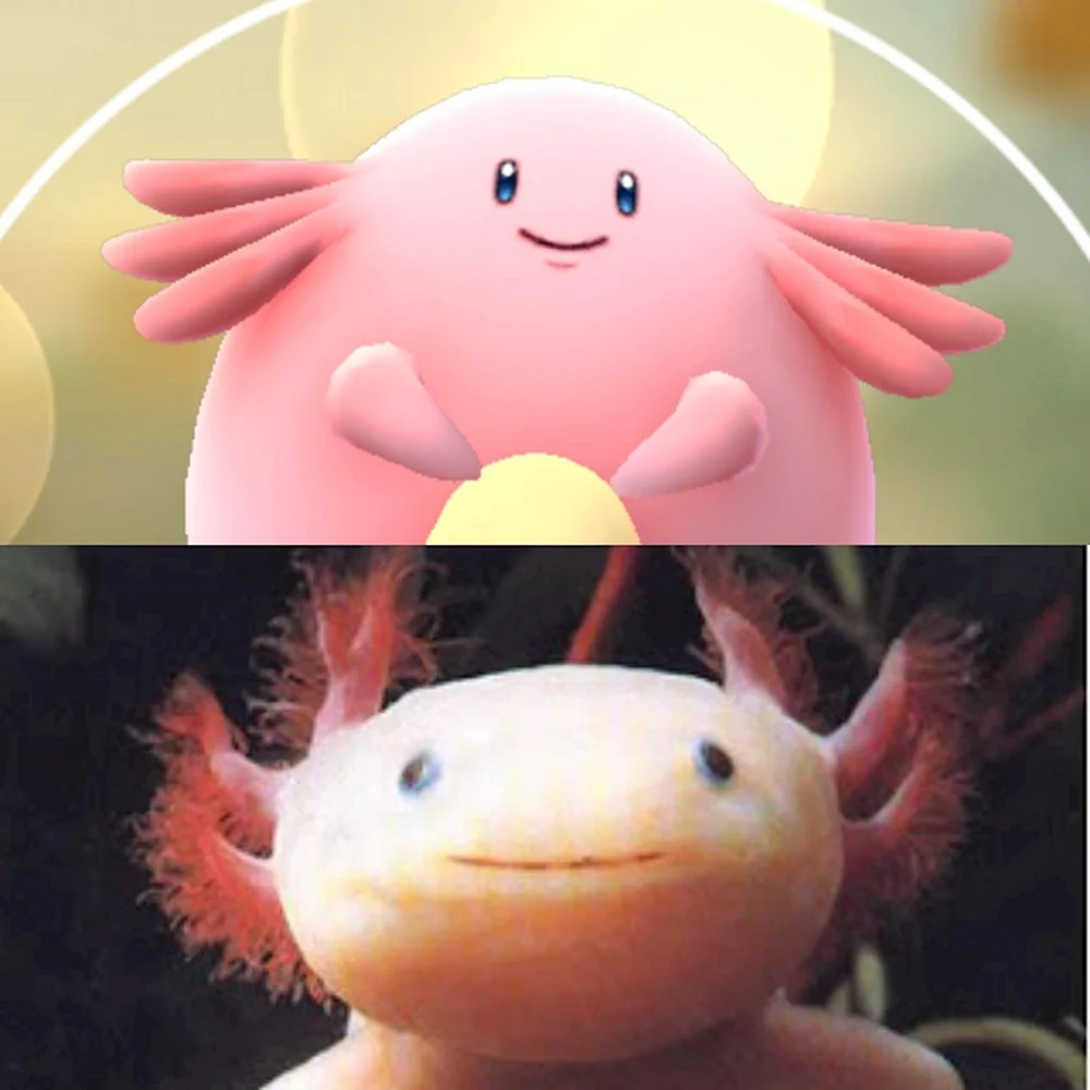 Pokemon аксолотль