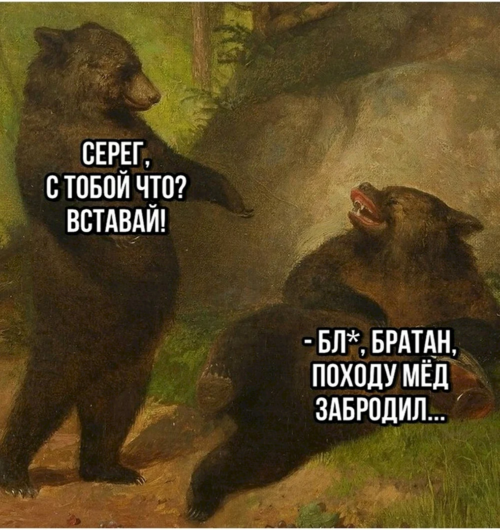 Походу мёд забродил