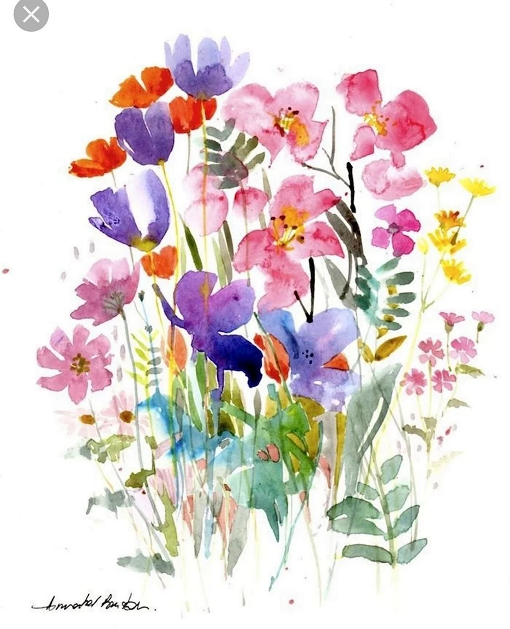 Полевые цветы в акварели Уэнди Тейт