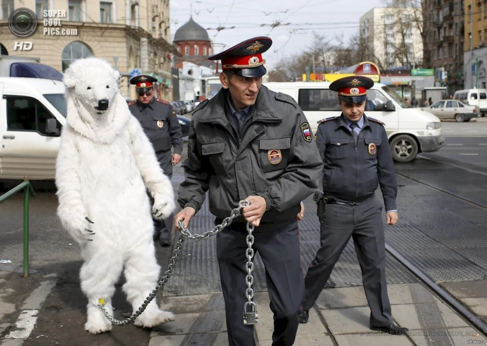 Полиция приколы