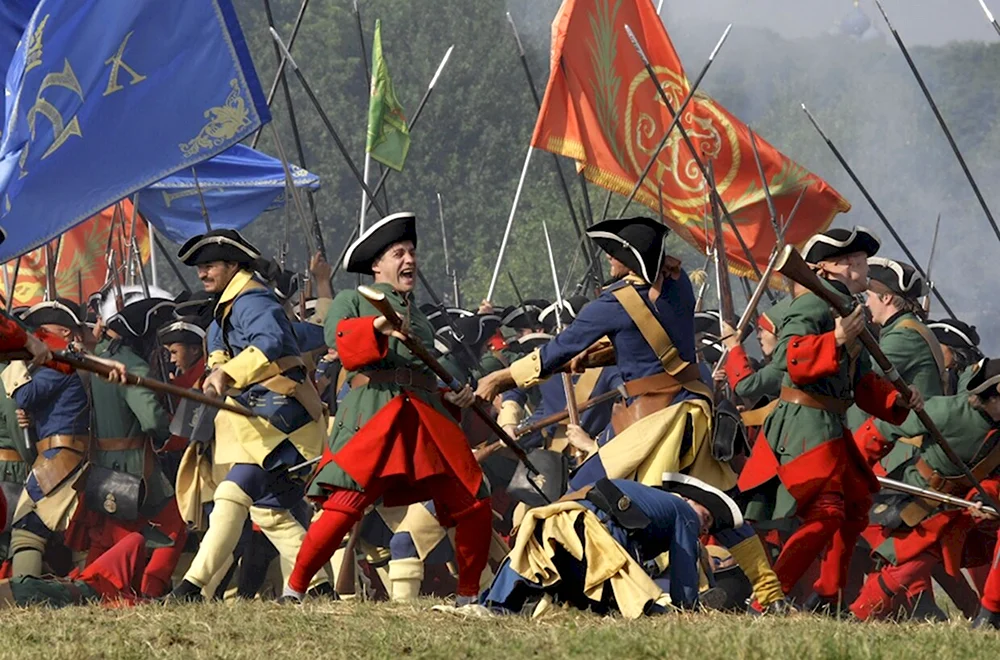 Полтавская битва армия Шведов