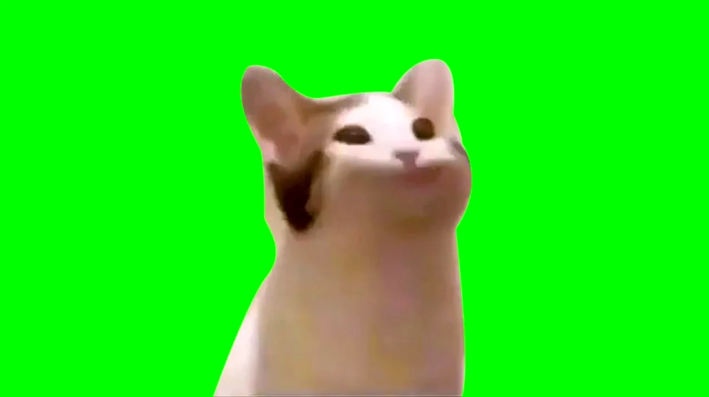 Pop Cat Green Screen