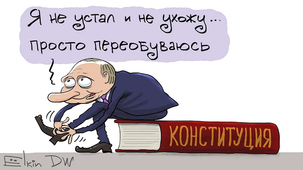 Поправки в Конституцию карикатура