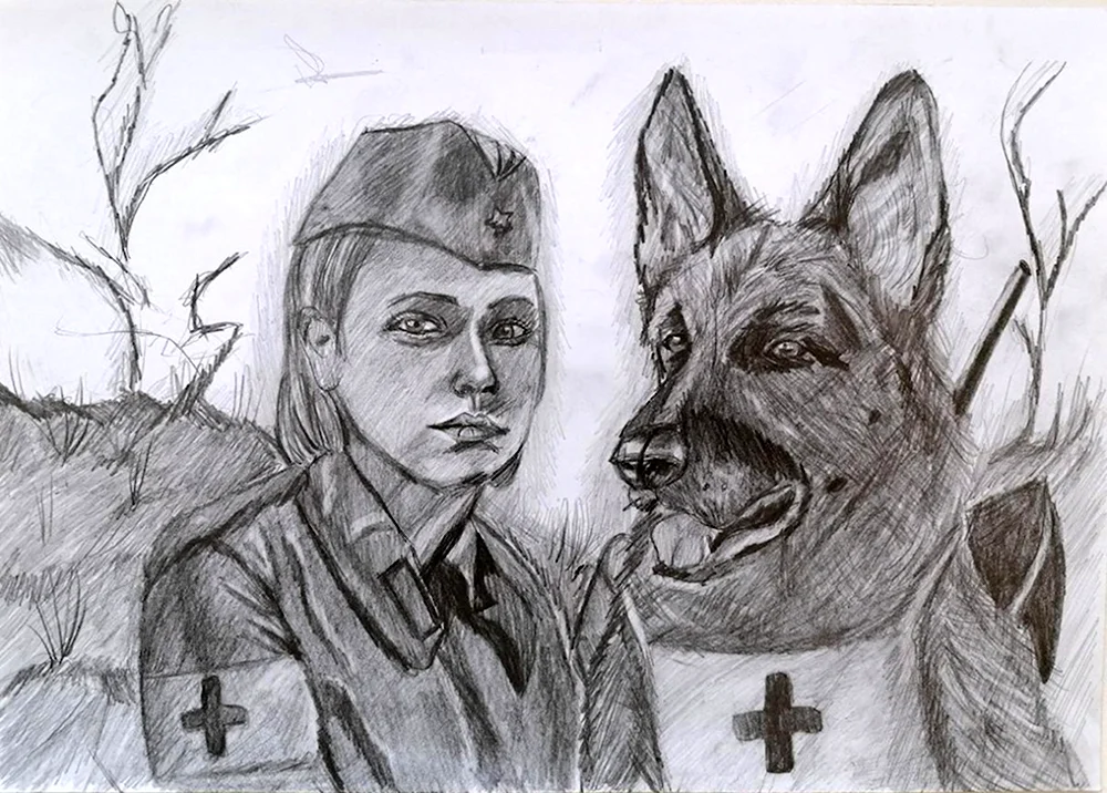 Портрет фронтовой собаки конкурс музей Победы