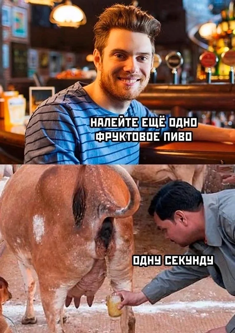 Последние мемы