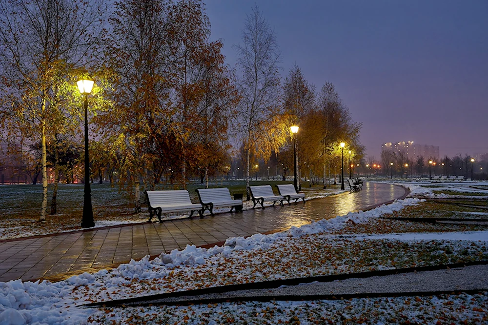 Поздняя осень в городе