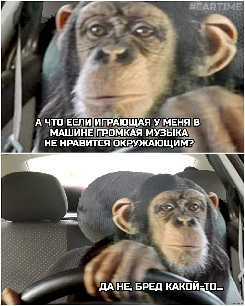 Поздравление обезьяна на машине