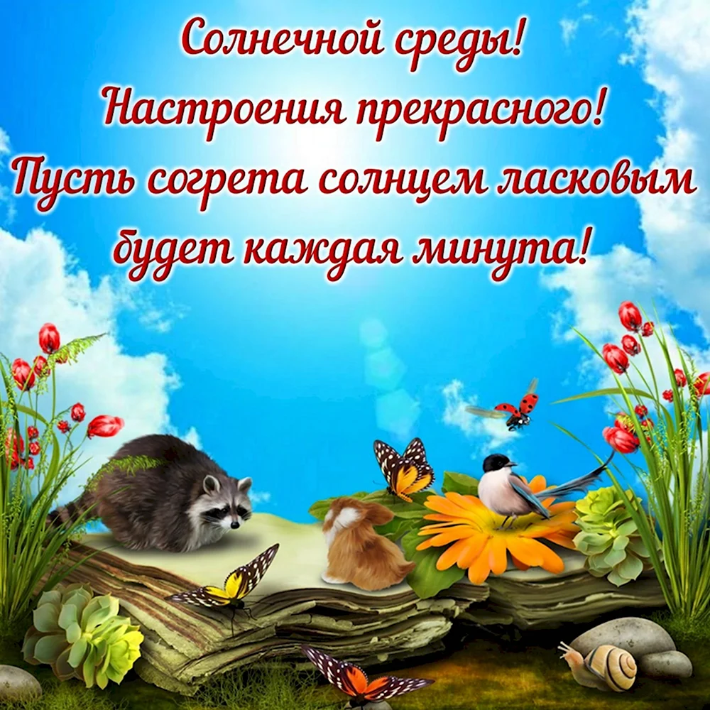 Поздравление со средой