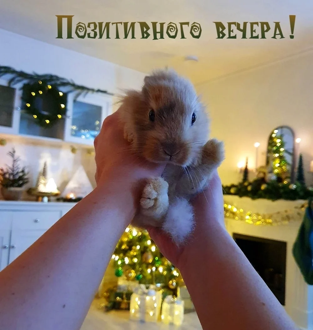 Позитивного вечера