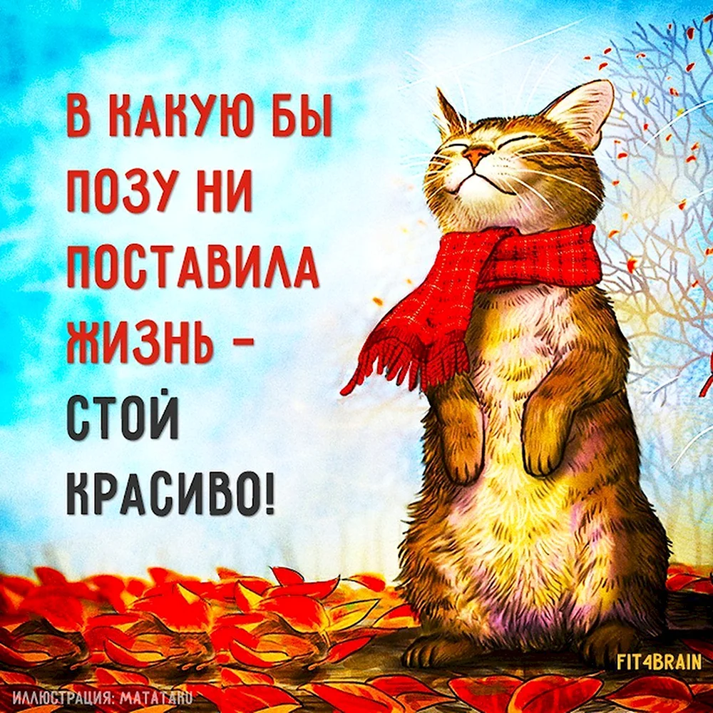 Позитивные высказывания