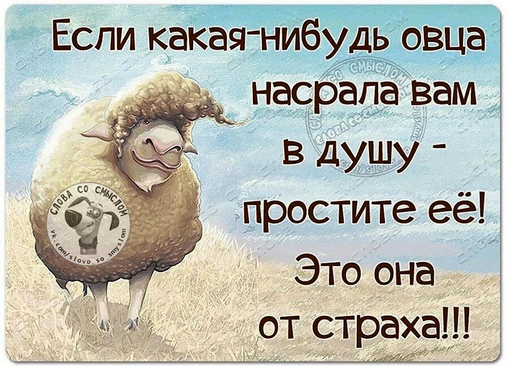 Позитивные высказывания