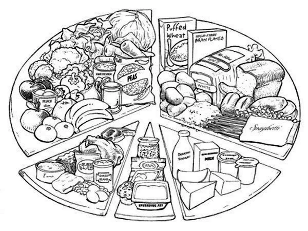 Правильное питание раскраска